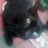 karen.10.20