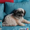 fortuneregencia