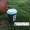 user1ngyydclbj