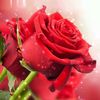 abuezzedine