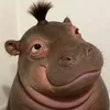 pngocanh734