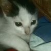 larissa_9562