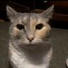 yazz_0011