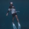 Sehnki.Dives