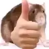 abcxiz21