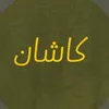 kashin_01