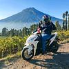 pandia_bagia_suhardim