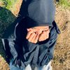 canntikaaputrii