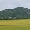 sang.nguyen3306