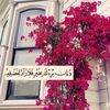 mnawy528