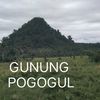 putra.pogogul