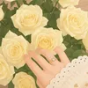 user4581744332136