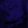 haannii_4