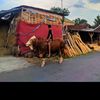 kurniafrm_158