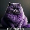 begemotick_user