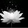 huong_nguyen700