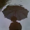 arimakata