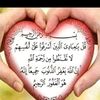qalbisafi19