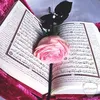 fatimaalzahra913