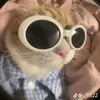 ciaraphw