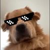 Fourth Official on YT