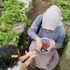 cheheheg