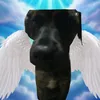 bastianabregu