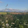 zulaikha_0000