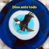 laico39