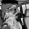 mogtreeb_22