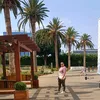 senialves3