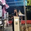 firmanjt