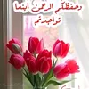 hananfawzi24