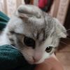 liliy4291