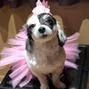 pinktoes992