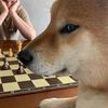chuckboyardee21