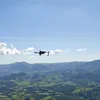 pedaleiro.com