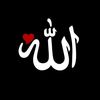 hamzashaher4