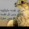 user4613336318826