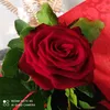 user4171024063161