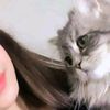 ummhaitham41