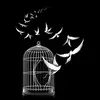 marwa.adel.369