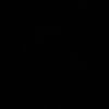 shalev1380