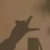 al_naeraa