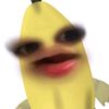p_aridaaa_