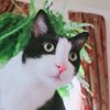 catsafeplants