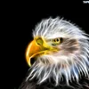 orzel_tv