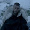 wolf_alpha9