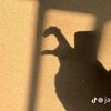 tiramisu_032