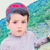 zameenullahwazirw